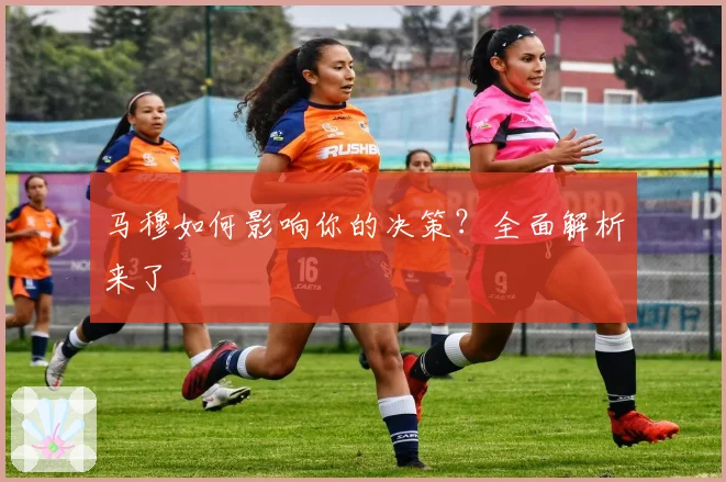 马穆如何影响你的决策？全面解析来了