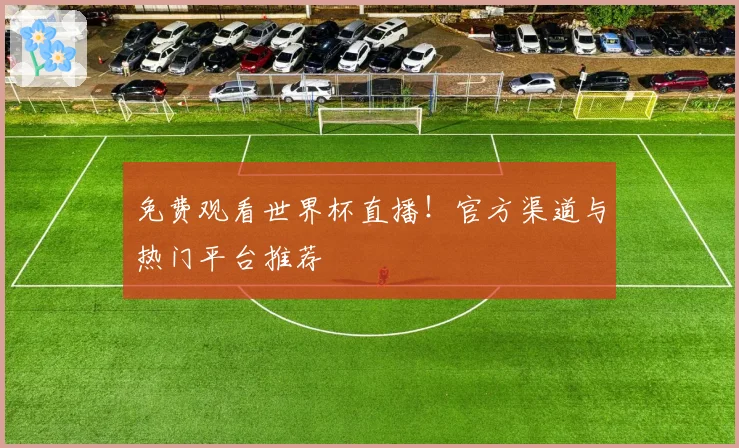 免费观看世界杯直播！官方渠道与热门平台推荐