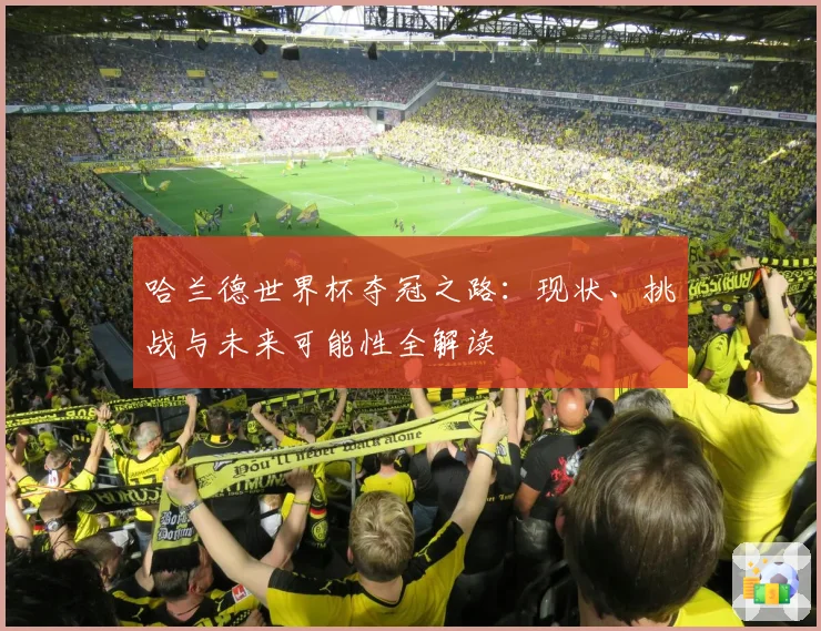 哈兰德世界杯夺冠之路：现状、挑战与未来可能性全解读