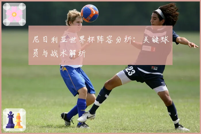 尼日利亚世界杯阵容分析：关键球员与战术解析