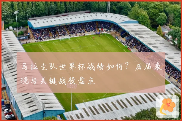 乌拉圭队世界杯战绩如何？历届表现与关键战役盘点