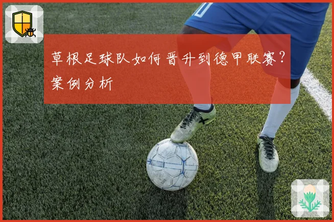 草根足球队如何晋升到德甲联赛？案例分析