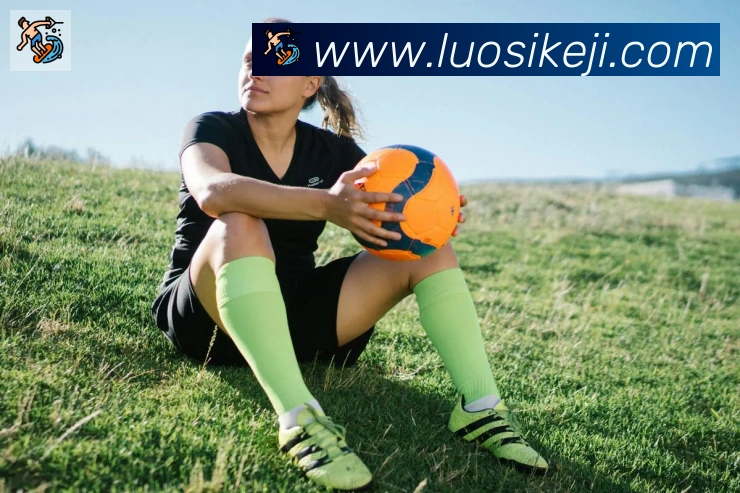 开云app平台生态图