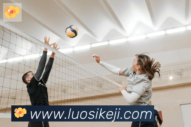 开云app服务体系