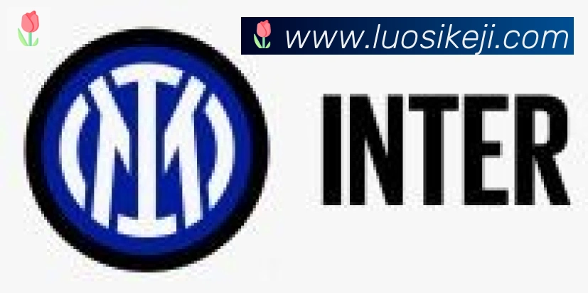 开云app合作伙伴