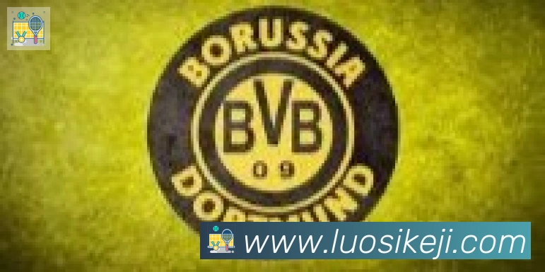 开云app合作伙伴