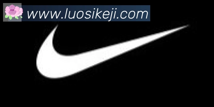 开云app合作伙伴